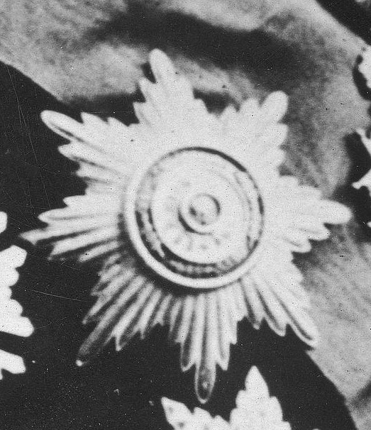 St.Stanislaus order breast star.jpg