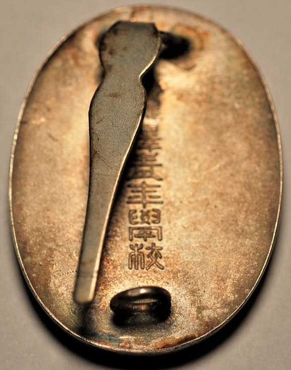 Takizawa Youth  School Excellence Award Badge.jpg