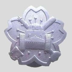 Tank and Armored Car Driver Soldier's Badge.jpg