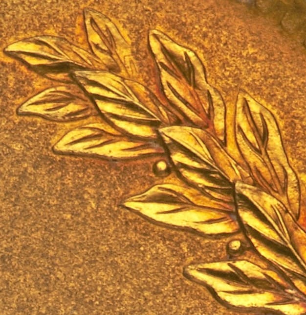 Tianjin  Provisional Government  Gold Medal.jpg