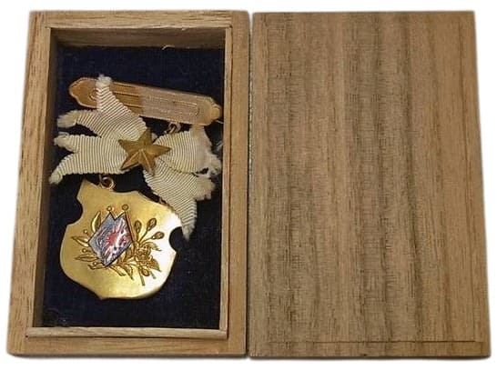 Tokyo Army Triumphal Return Welcome Ceremony Badge 東京凱旋軍歡迎會章-Photoroom.jpg
