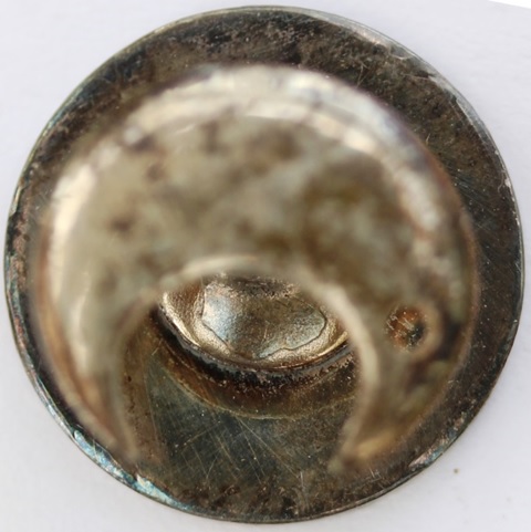 Tokyo Earthquake Memoriam Foundation Special Badge-.jpg