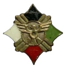 Tokyo Physical Fitness Association Strength Walking Badge.jpg