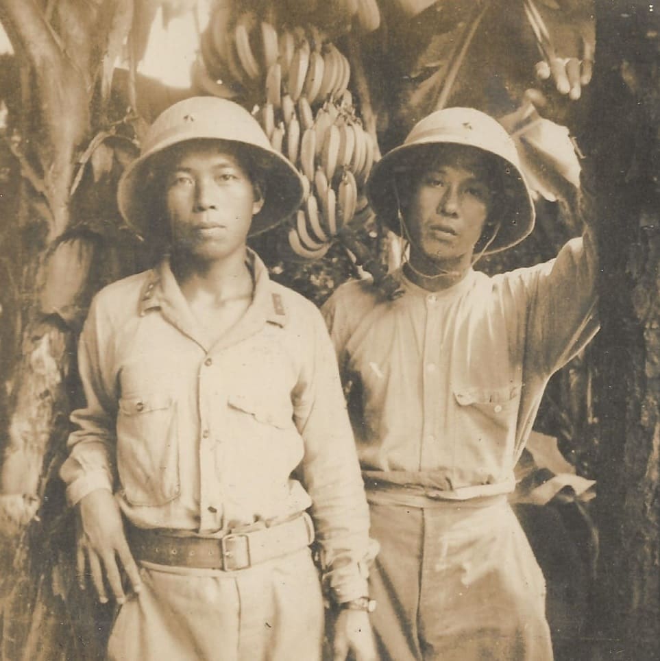 Tropical helmet in photo.jpg