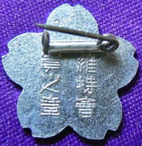 Truth Warrior  Spirit Preservation Association Membership Badge.jpg