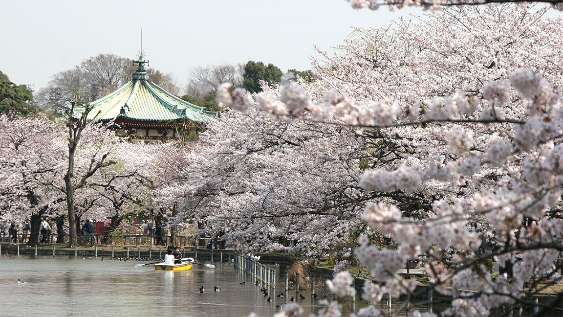 Ueno Park.jpg
