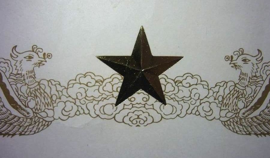 Veterans  Golden Kites.jpg