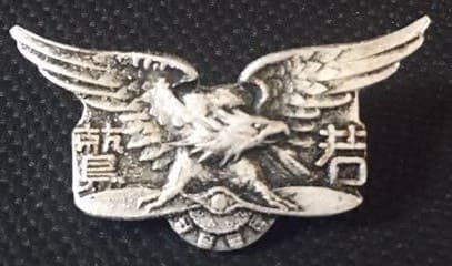 Wakawashi young military aviator badge.jpg