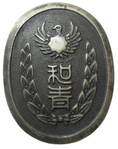 Wakayama Prefecture Youth League Badge (pin was lost).jpg