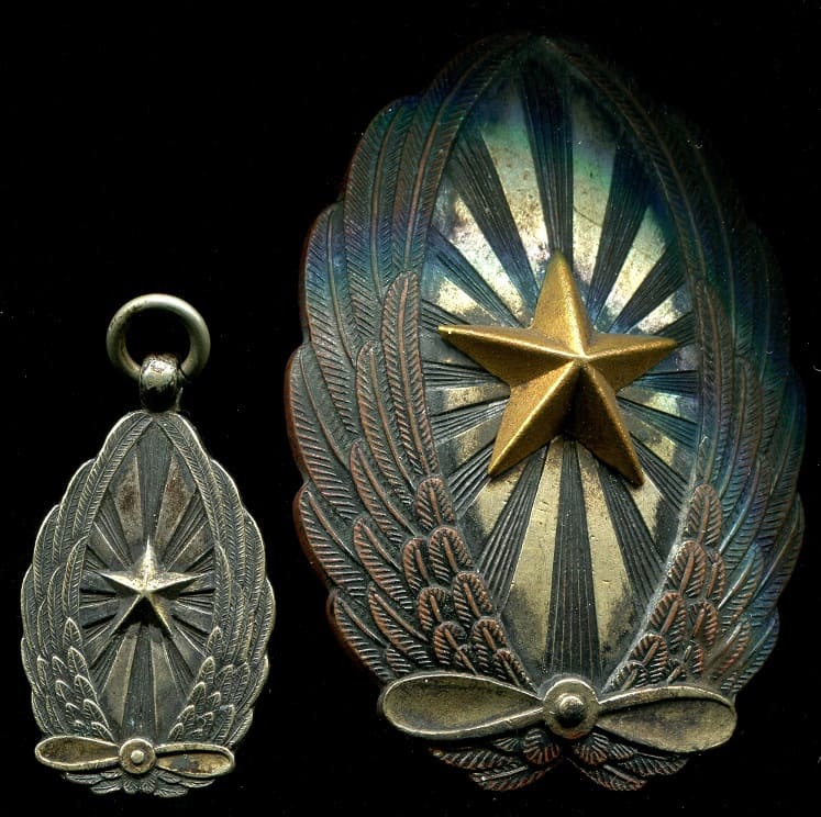 Watch Fob  in the form of  Japanese Pilot Badge.jpg