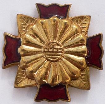Wound Badge No. 259.JPG