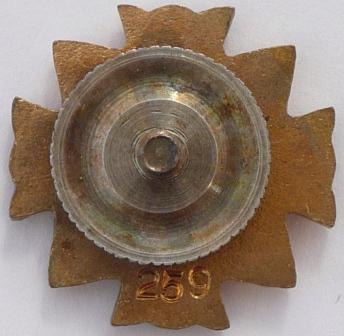 Wound Badge No. 259..JPG