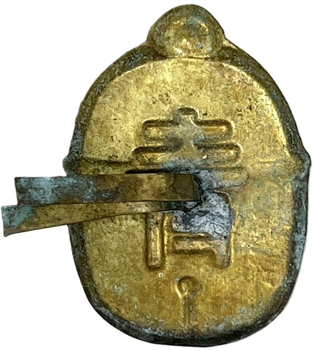 Youth Hat  Badge.jpg