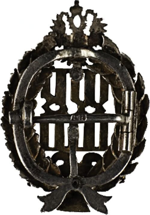 Знак об окончании  женских врачебных курсов.jpeg