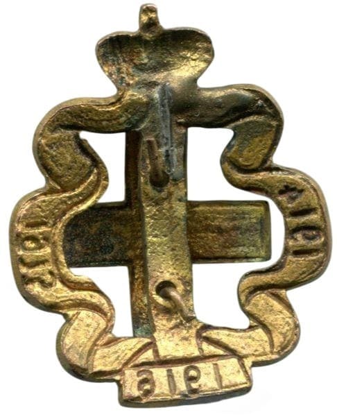 Знак  Российского общества Красного Креста.jpeg